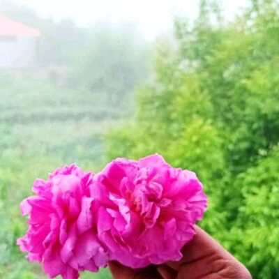 دانلود آهنگ منو تنها نذار رو قلبم پا نذار