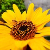 دانلود آهنگ خوب دست منو خوندی