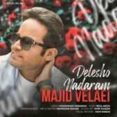 دانلود آهنگ مجید ولایی دلشو ندارم