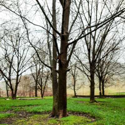 دانلود آهنگ میدونی این دنیا بدون تو بدون من