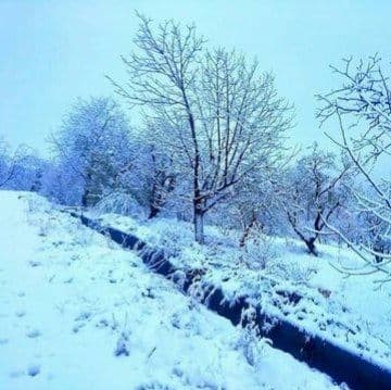 دانلود آهنگ هندی نی جانا