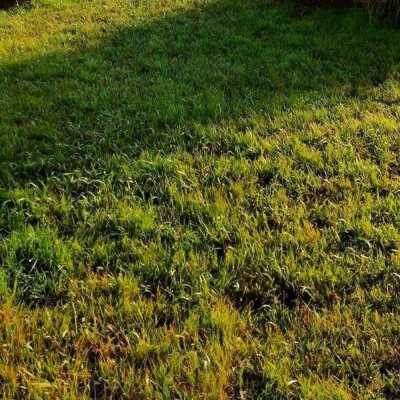 دانلود آهنگ شاد ترکی باجیلار