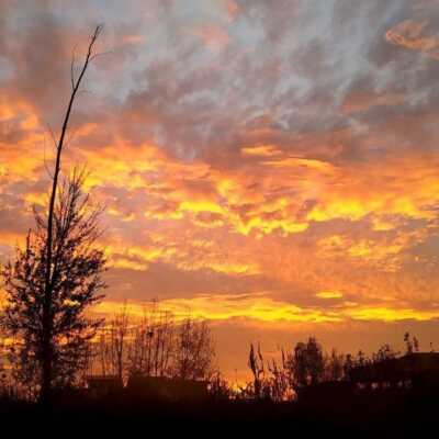 دانلود آهنگ خونه ما دوره دوره