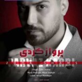 دانلود آهنگ ضحی شمس پرواز کردی