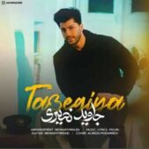 دانلود آهنگ جاوید نصیری تازگیا