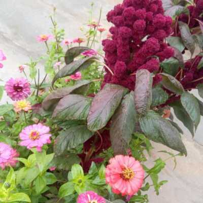 دانلود آهنگ سریال زن زندگی مرد زندگی