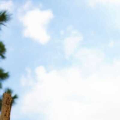 دانلود آهنگ دنگ بلبلی باغ پرگلی