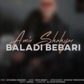 دانلود آهنگ امیر شهیار بلدی ببری دانلود آهنگ امیر شهیار بلدی ببری