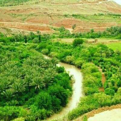 دانلود آهنگ حتی اگه بهم بد کردی خوبتو میخوام