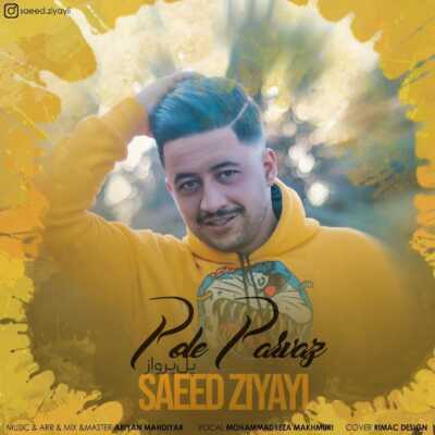 دانلود آهنگ سعید ضیایی پل پرواز