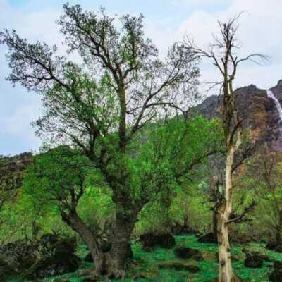 دانلود اهنگ گفتم دختره رو میخوای