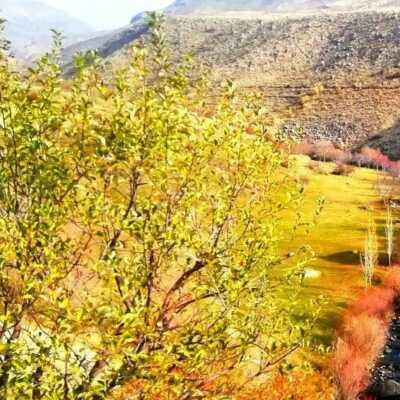 دانلود اهنگ روح الرحمن علی جانم