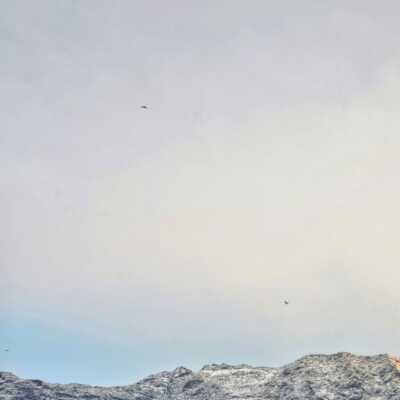 دانلود آهنگ یه ماچی بیه پیم