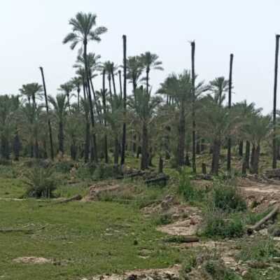 دانلود اهنگ ترکی دوستوم گناه نه سنددی نه منده
