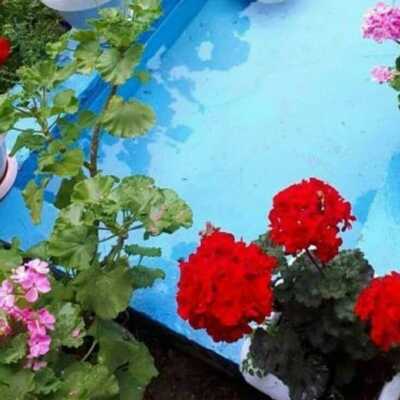 دانلود اهنگ لری هی دزی دزی سیلت میکردم