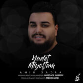 دانلود آهنگ امیر صدرا یادت میفتم
