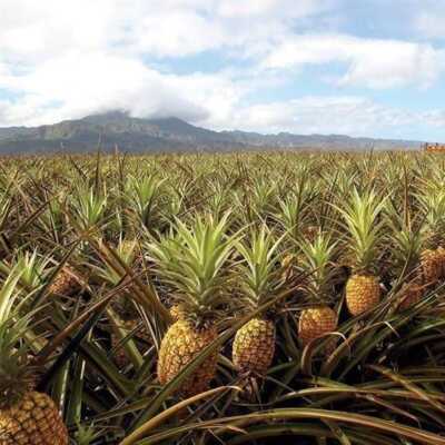 دانلود آهنگ لاتی ولی با ادب