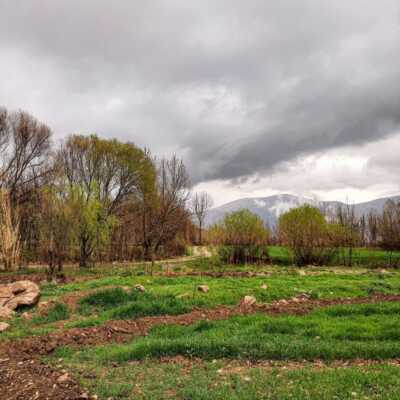 دانلود آهنگ بلبل نخون ساز لله وا دارمه