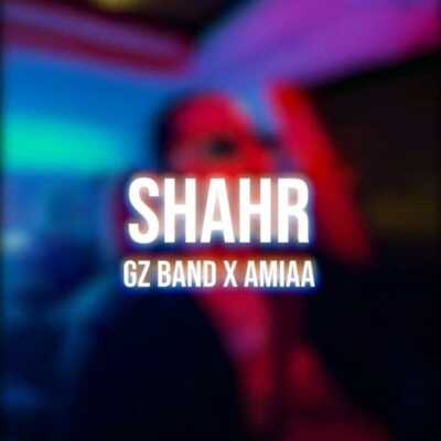 دانلود آهنگ فدی شهر