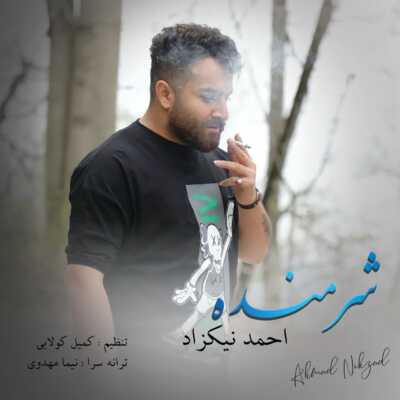 دانلود آهنگ احمد نیکزاد شرمنده