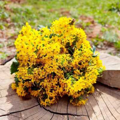 دانلود اهنگ یاندیمی کالبیمی امان