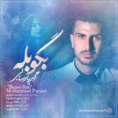 دانلود آهنگ محمد پارسایی بگو بله