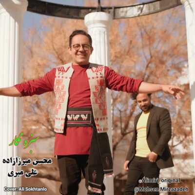 دانلود آهنگ محسن میرزازاده و علی میری سبزه نگار