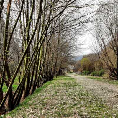 دانلود اهنگ ترکی سنسیز دنیا غملی بیر قفسدی