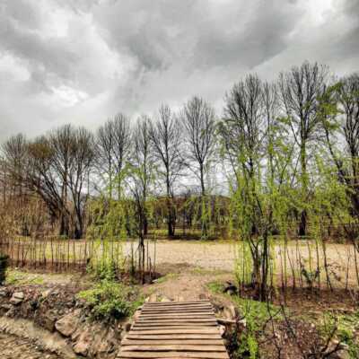 دانلود اهنگ لری دلبر بافوری