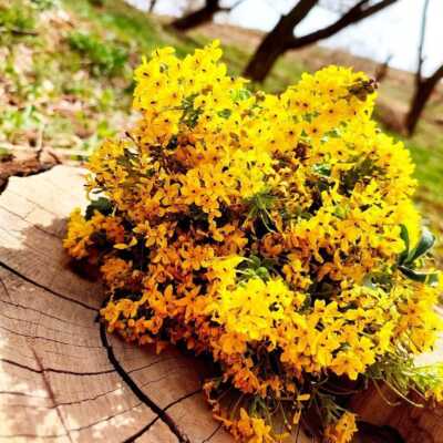 دانلود آهنگ باز دوباره تک و تنها خارج از نگاه دنیا