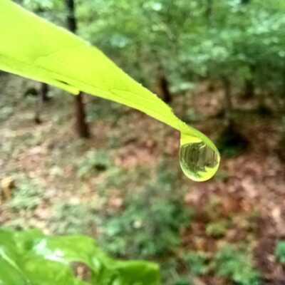 دانلود اهنگ ترکی هپ می بن