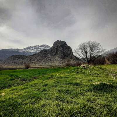 دانلود اهنگ عربی ای پرنده مهاجر