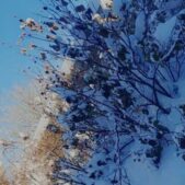 دانلود آهنگ فاطی فاطی فاطمه فاطی رفیق جینگمه