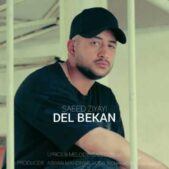 دانلود آهنگ سعید ضیایی دل بکن