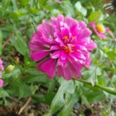 دانلود آهنگ تورو دست نمیزنم تورو نفس میکشم