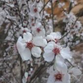 دانلود آهنگ خدایا خدایا خدایا توی دنیای بزرگت