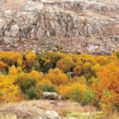 دانلود آهنگ خارجی مامان نمیدونه که بابا