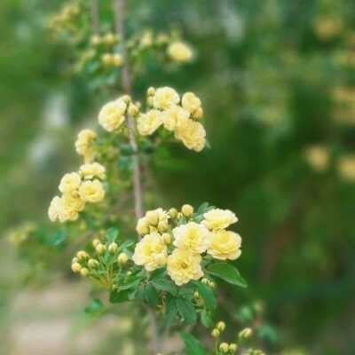 دانلود آهنگ نمیخوام جا بزنم تو گذشته دستو پا بزنم