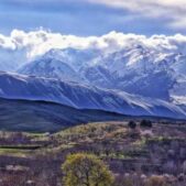 دانلود آهنگ خالد خلوت بلبلم