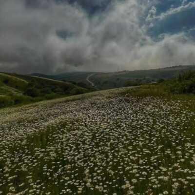 دانلود آهنگ عربی مین دلین سی