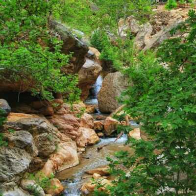دانلود آهنگ رقص عربی گاو