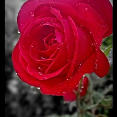 دانلود آهنگ از زندگیم برو گمشو بیرون