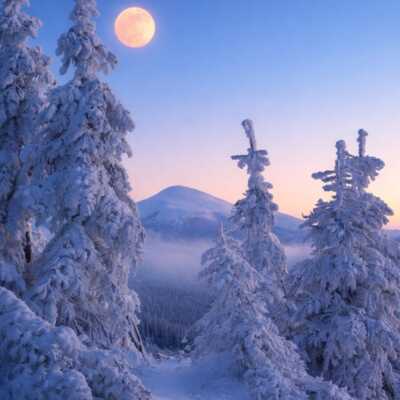 دانلود آهنگ برای داشتنت اصرار کافی نیست