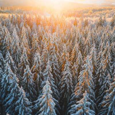 دانلود نوحه بیلمدیم هیچ گناهیمی