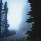 دانلود آهنگ بای بای ما رفتیم