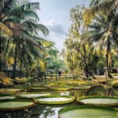 دانلود آهنگ فرخ گلی جون