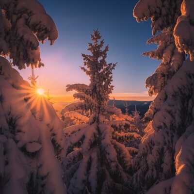 دانلود آهنگ خارجی دله دان دله