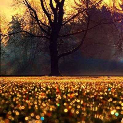 دانلود آهنگ کاش میشد دستاتو قرض میکردم