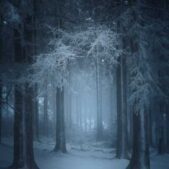 دانلود آهنگ منو تو دلت جا کن این دلم واسه توعه