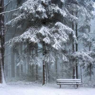 دانلود آهنگ مهربانم رفت دلو جانم رفت با صدای دختر